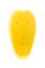 SAS-TEC® BACKPROTECTOR SCL 2018